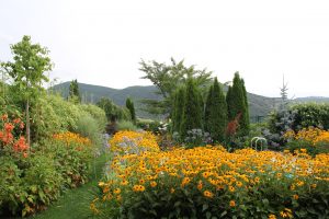 IMG_8067plus