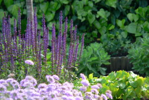 El jardín como herramienta.