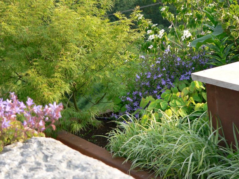 Fotos de Jardines - Jardinarias | Diseño de Jardines