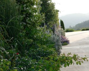 Agrupaciones de plantas en el diseño de jardines.