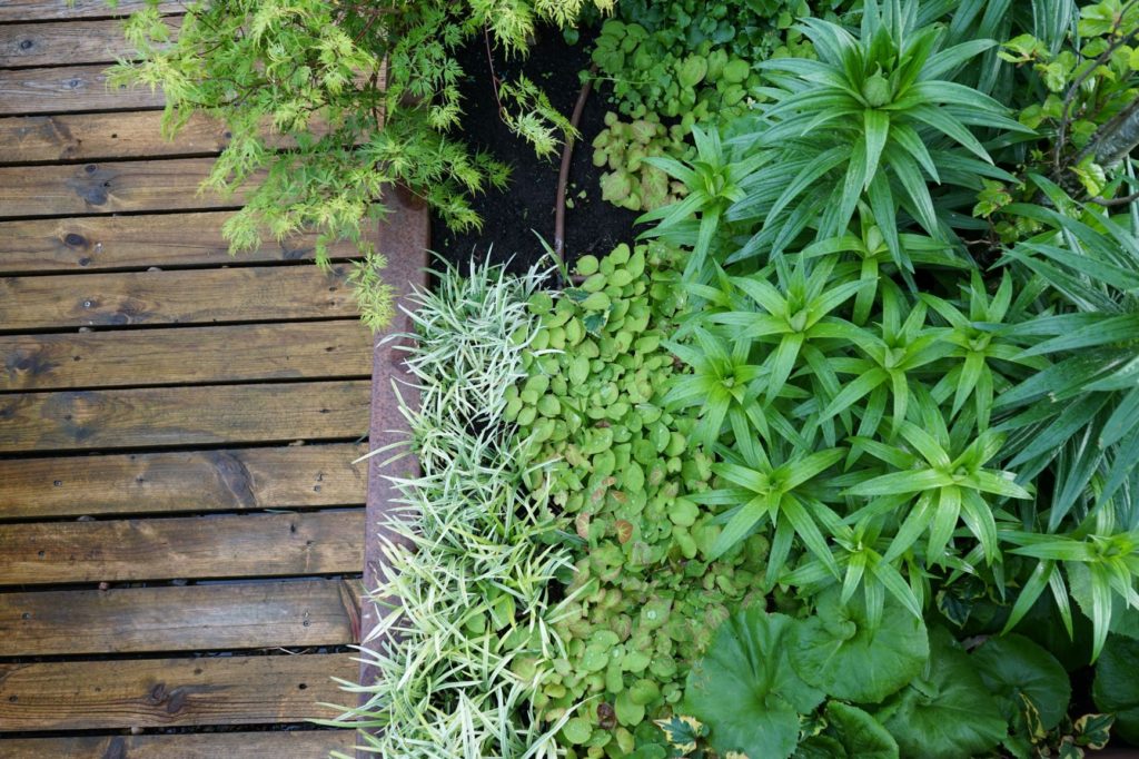 Jardinarias en una composición para plantar cerca del agua.